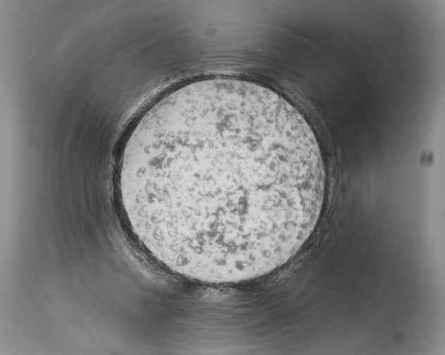 X0000114060346200911161133