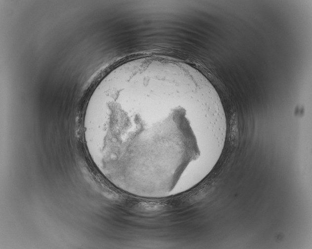 X0000114060351200911161134