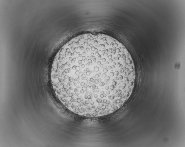 X0000114060354200911161134