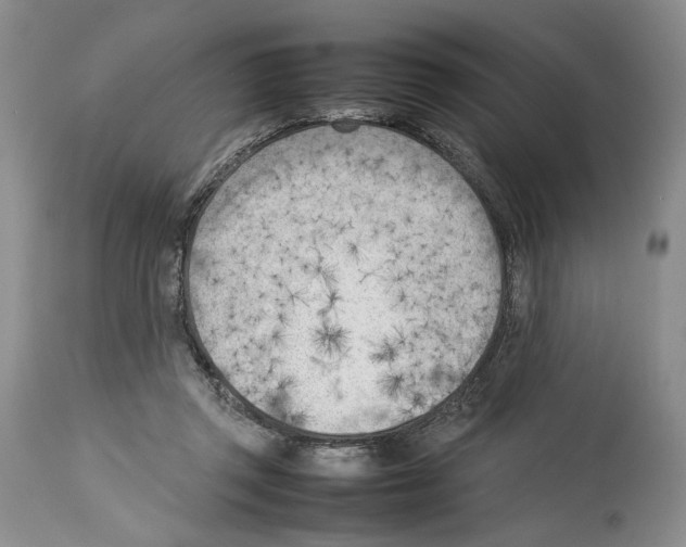 X0000114060357200911161134