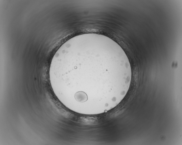 X0000114060359200911161134