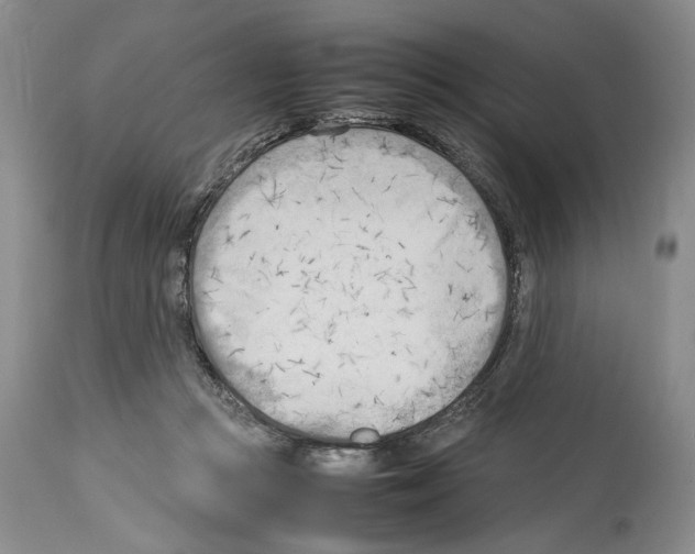 X0000114060361200911161134