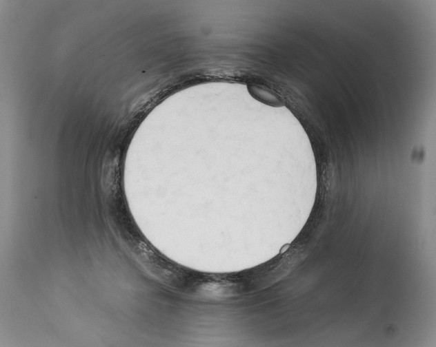 X0000114060364200911161134