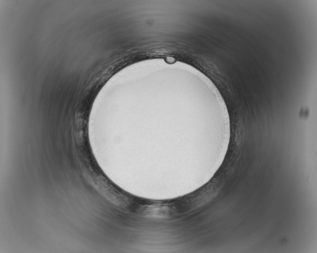 X0000114060366200911161134