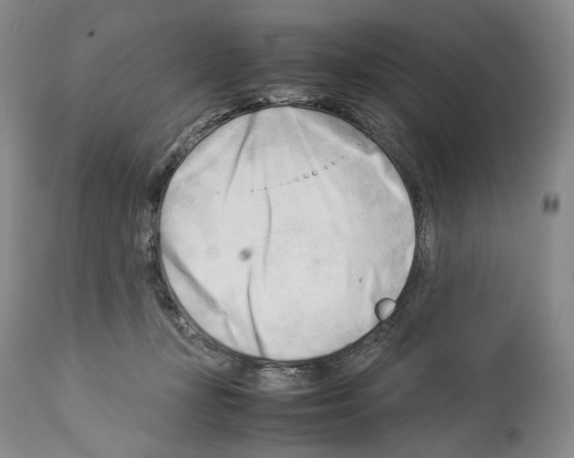 X0000114060367200911161134