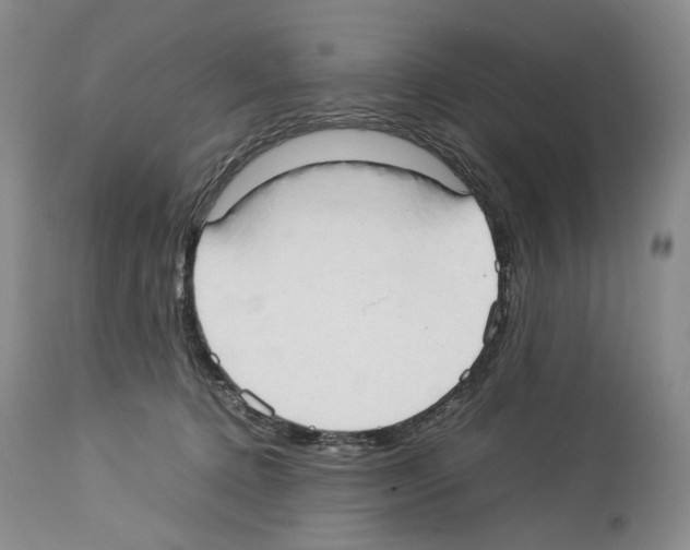 X0000114060368200911161134