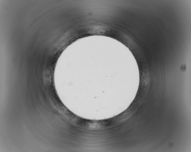 X0000114060370200911161134