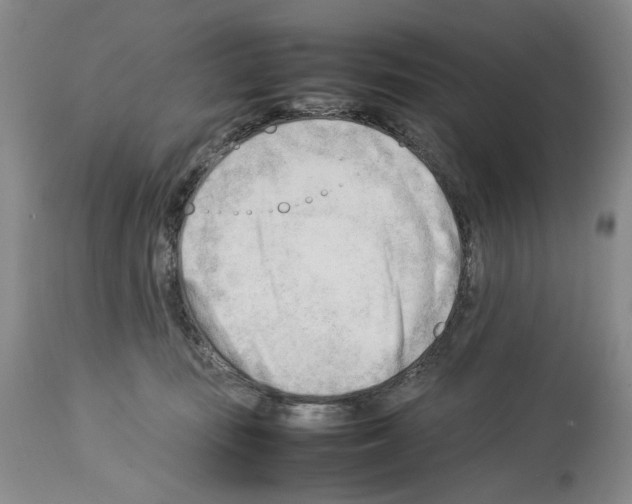 X0000114060371200911161134