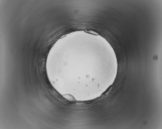 X0000114060376200911161134