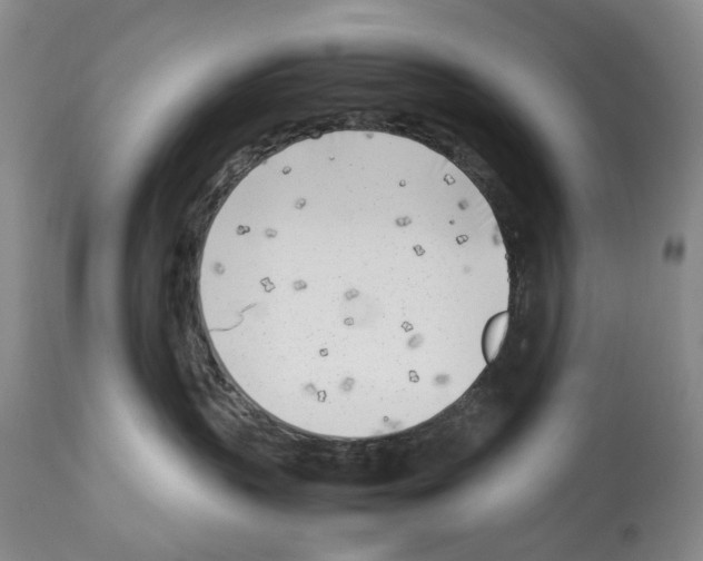 X0000114060383200911161134