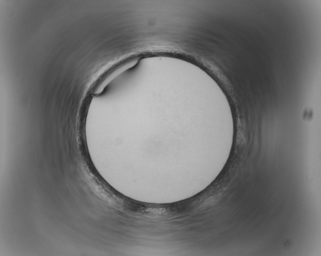 X0000114060391200911161133