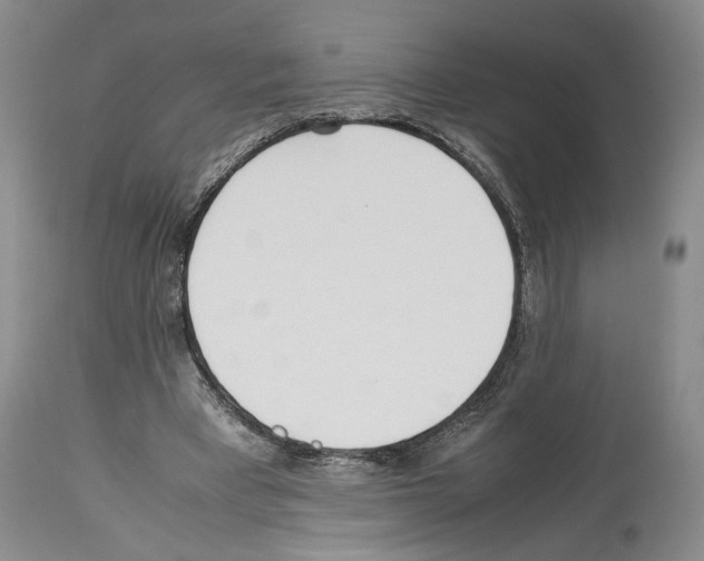 X0000114060393200911161133