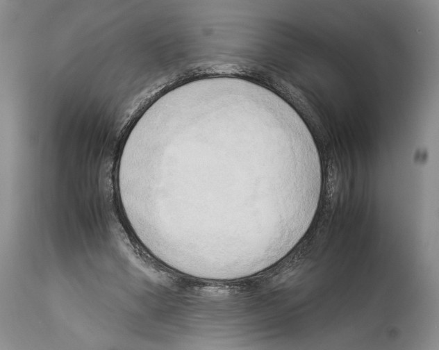 X0000114060394200911161133