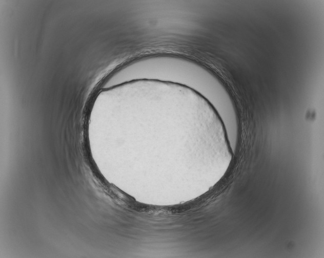 X0000114060395200911161133