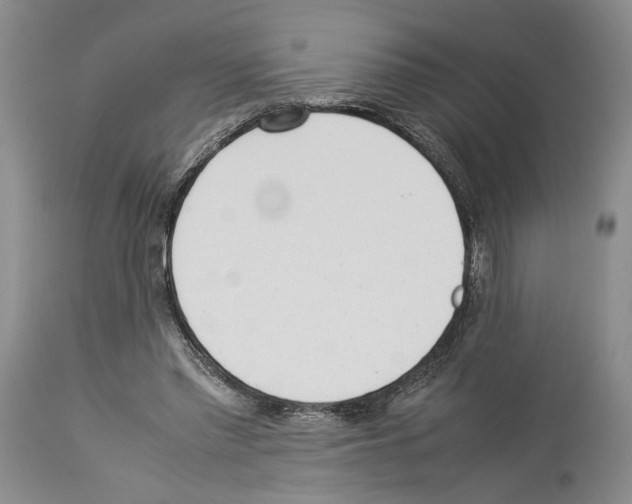 X0000114060397200911161133