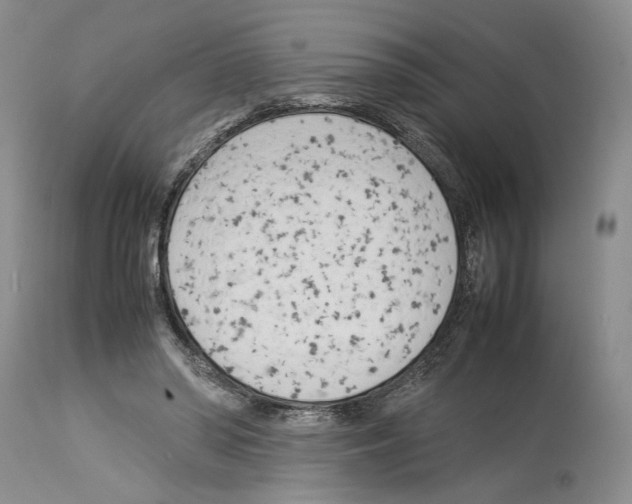 X0000114060398200911161133