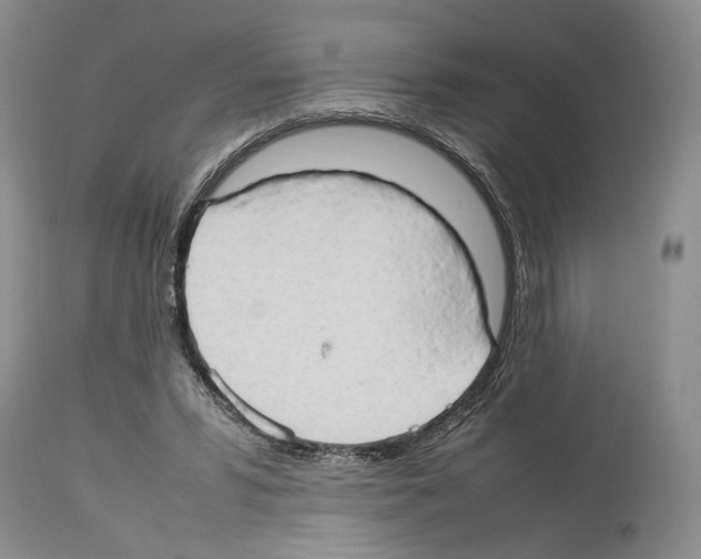 X0000114060399200911161133