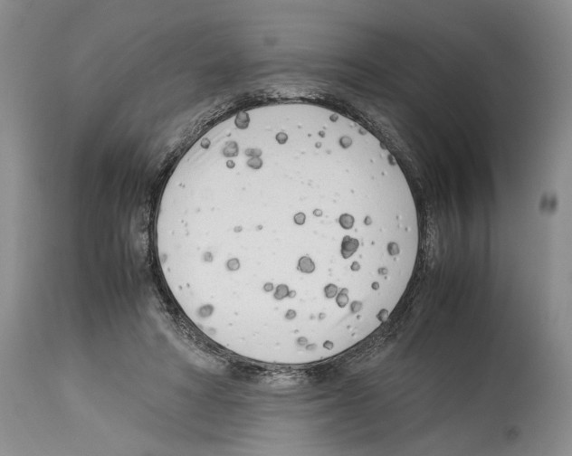 X0000114060402200911161133