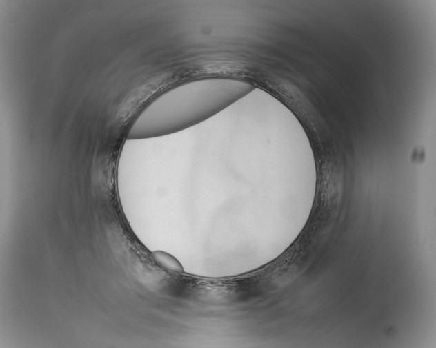 X0000114060405200911161133