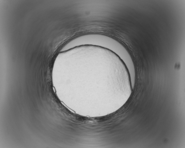 X0000114060411200911161133