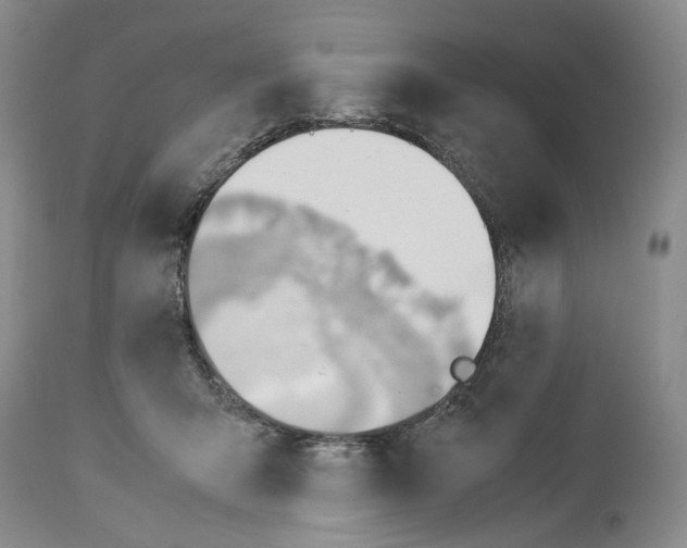 X0000114060415200911161133