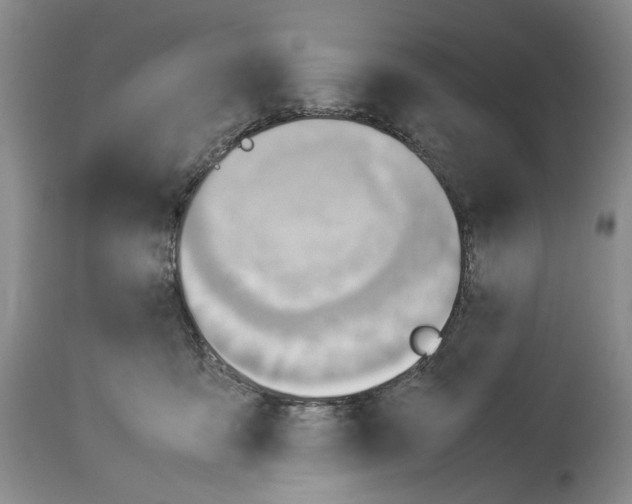 X0000114060419200911161133