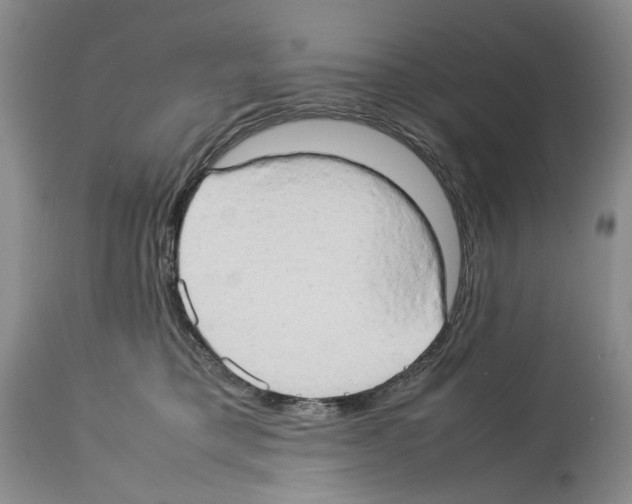 X0000114060421200911161133