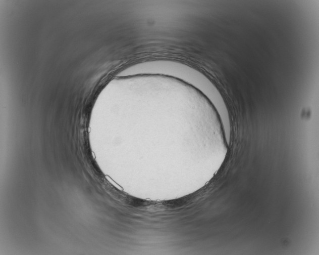 X0000114060423200911161133