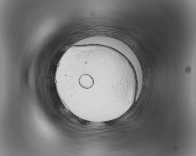 X0000114060429200911161133