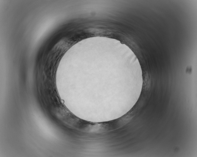 X0000114060430200911161133