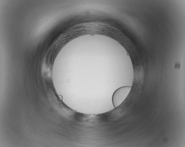 X0000114060431200911161133