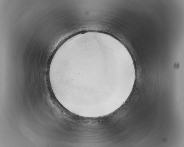 X0000114060434200911161132