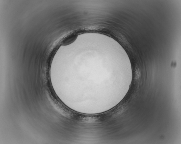 X0000114060444200911161132