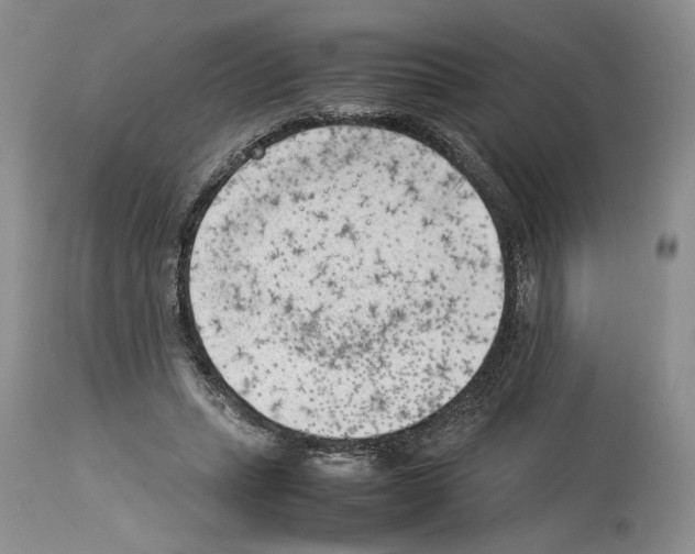 X0000114060447200911161132