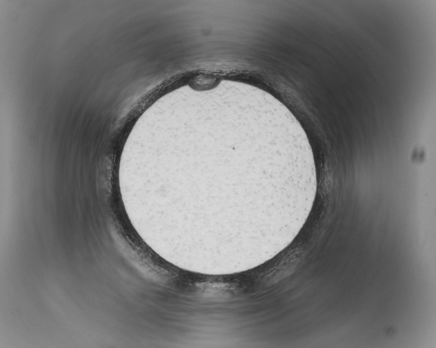 X0000114060448200911161132