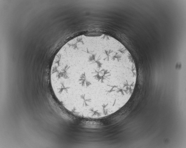 X0000114060449200911161132