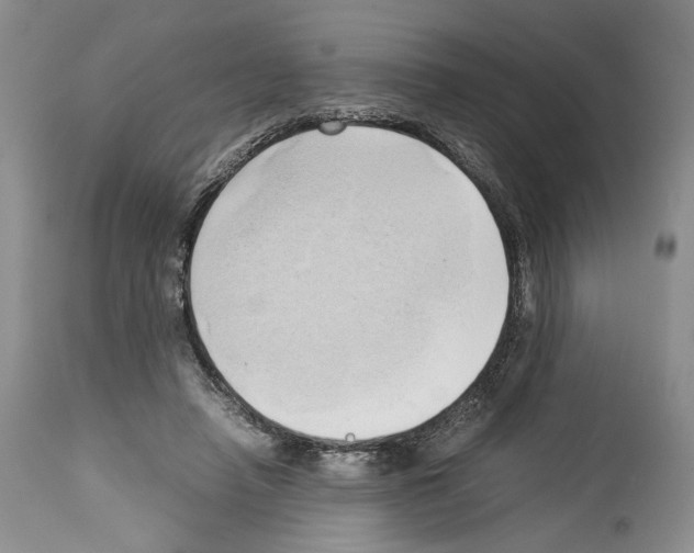 X0000114060450200911161132