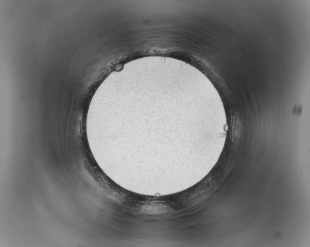 X0000114060451200911161132