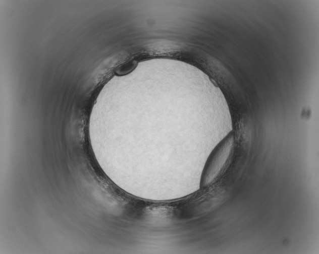 X0000114060452200911161132