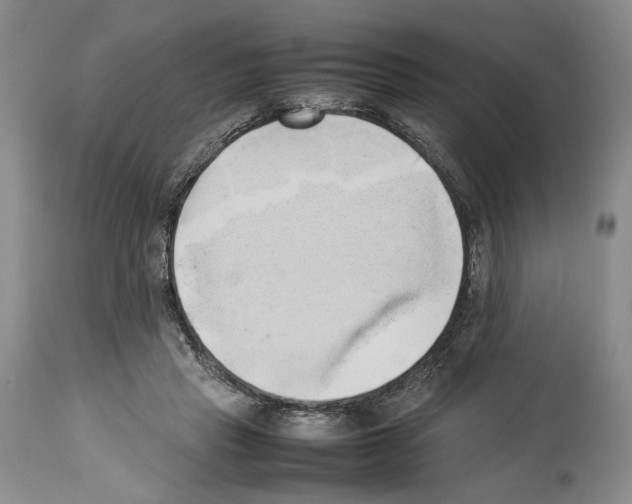 X0000114060453200911161132