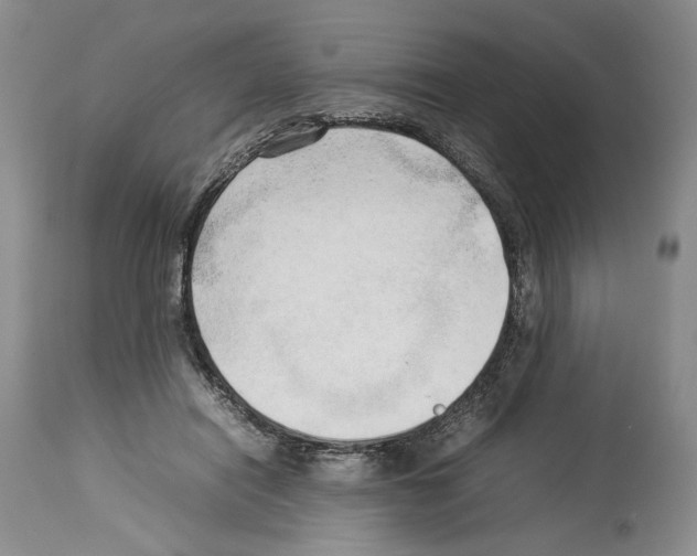 X0000114060454200911161132