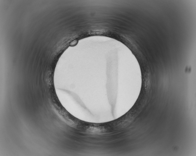 X0000114060455200911161132