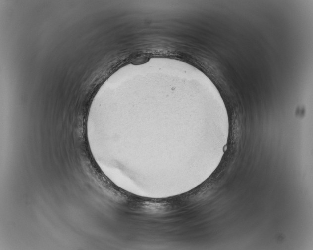 X0000114060457200911161132