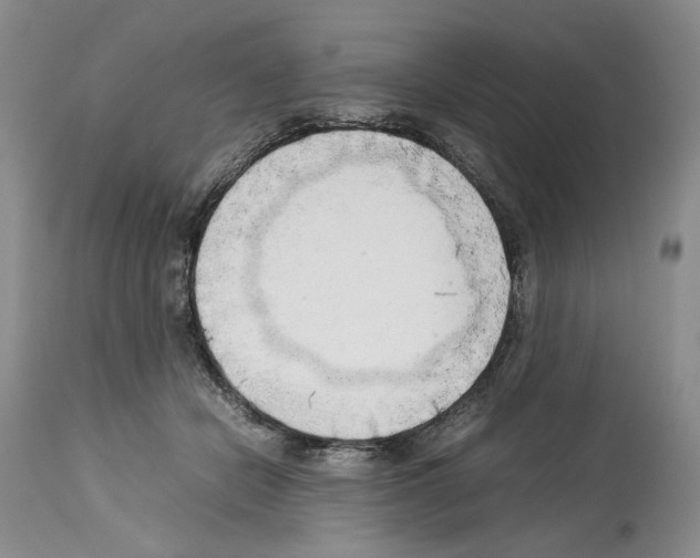 X0000114060462200911161132