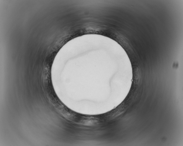 X0000114060463200911161132