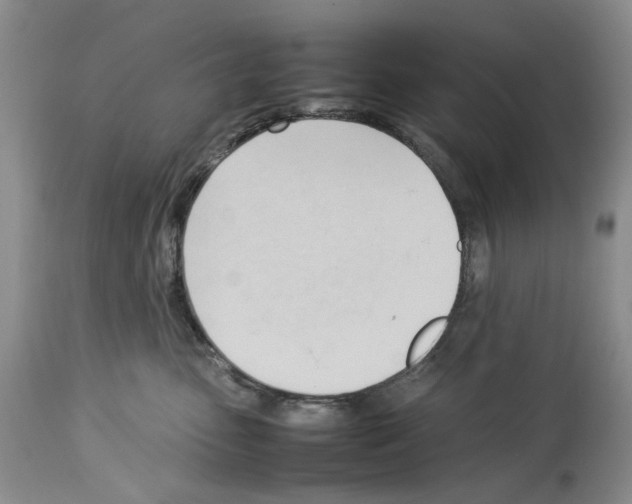 X0000114060475200911161133