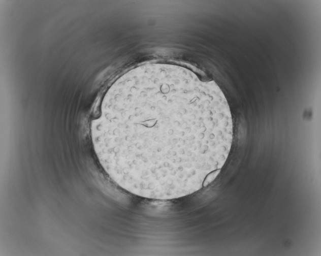 X0000114060478200911161133