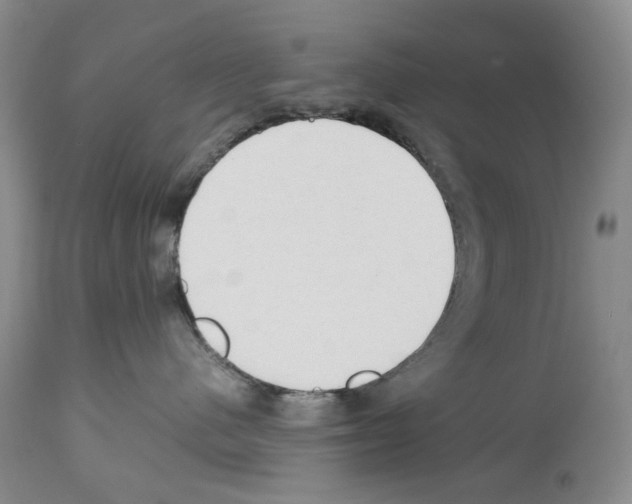 X0000114060480200911161133