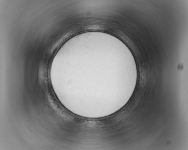 X0000114060482200911161132