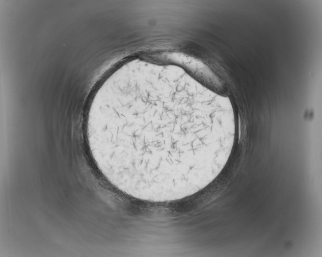 X0000114060483200911161132